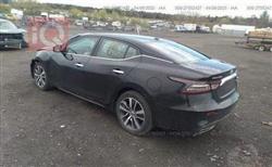 نيسان ماكسيما